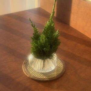 今年も大変お世話になりました 良いお年をお迎えください♪